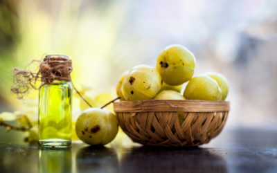 Scopriamo l’amla, l’uva spina indiana, un alleato per la bellezza e un rimedio naturale della tradizione ayurvedica
