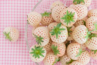 Pineberry, la fragola che pare incrociata con l’ananas e che puoi coltivare anche tu