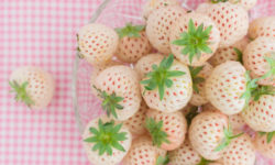 Pineberry, la fragola che pare incrociata con l’ananas e che puoi coltivare anche tu