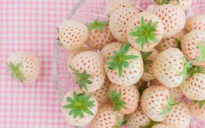 Pineberry, la fragola che pare incrociata con l’ananas e che puoi coltivare anche tu
