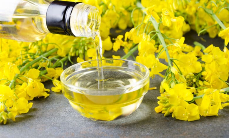 olio di canola