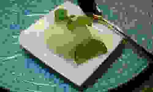 sorbetto