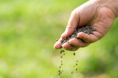 Buco nell’ozono, anche i fertilizzanti sotto accusa