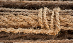Abaca, una fibra naturale tessile che viene da lontano