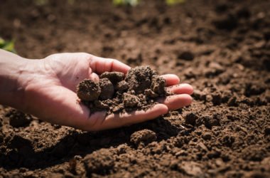 Quali sono i diversi tipi di terreno e a quali piante o coltivazioni si prestano?