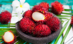 Alla scoperta del rambutan, uno dei frutti tropicali dall’aspetto più curioso