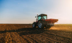 Emissioni CO2, riciclato può diventare fertilizzante e colla