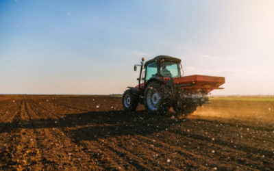 Emissioni CO2, riciclato può diventare fertilizzante e colla