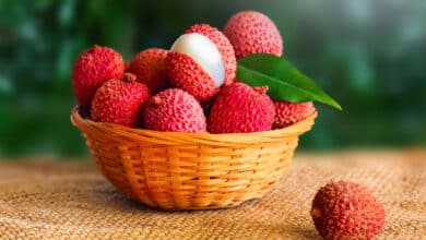 litchi