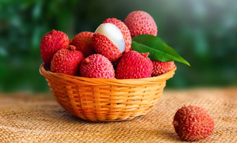 litchi