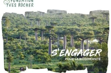Terre de Femmes 2019: il Premio della Fondazione Yves Rocher si prepara al gran finale
