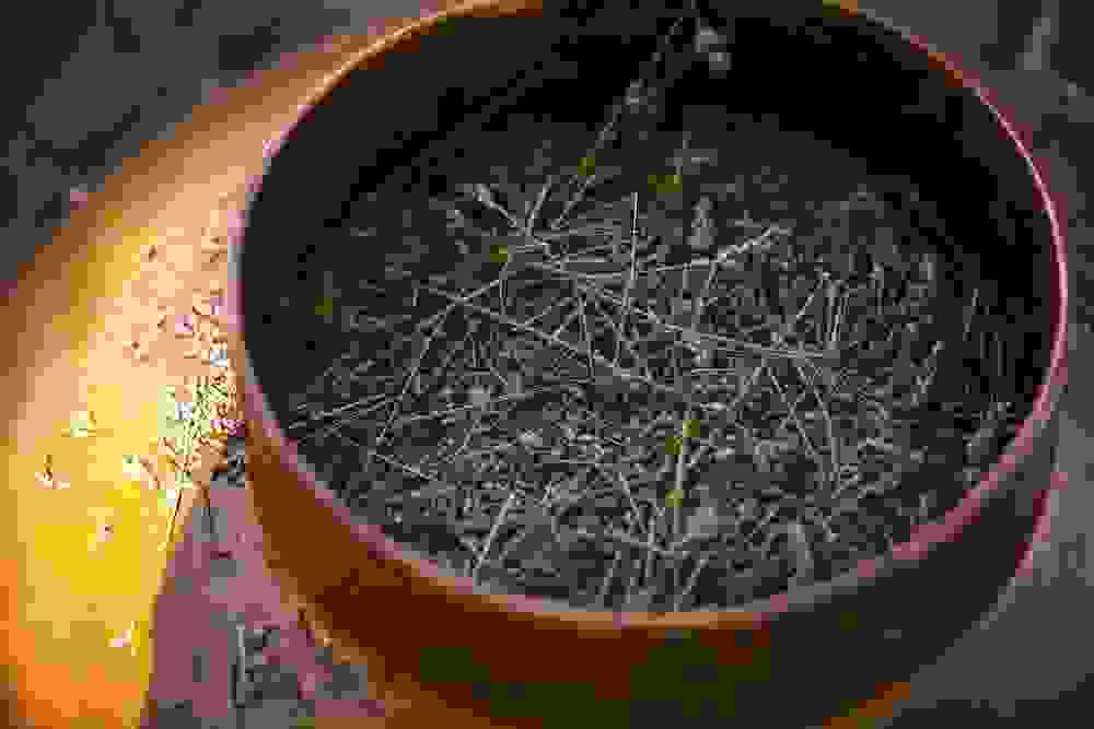 Distillazione, alla scoperta di una tecnica antica e affascinante