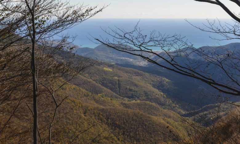 val bormida foresta barbottina