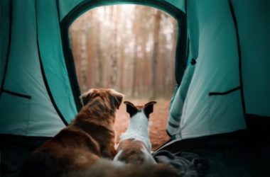 Tenda da campeggio: quale comprare
