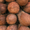 Fibra di cocco: dalla noce di cocco, una fibra vegetale per eco-tessuti e non solo