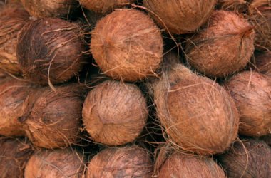 Fibra di cocco: dalla noce di cocco, una fibra vegetale per eco-tessuti e non solo