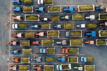 Caviro: la cantina d’Italia sostenibile e amica dell’ambiente