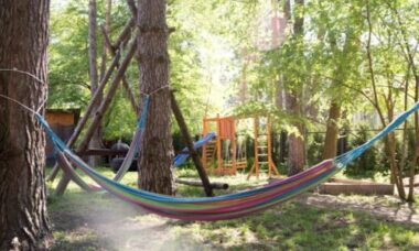 Scuola steineriana: cos’è, quale metodo didattico utilizza e dove possiamo trovarle