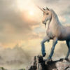 Volete sapere tutto sul mitico unicorno? Leggete qui…