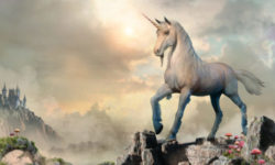 Volete sapere tutto sul mitico unicorno? Leggete qui…