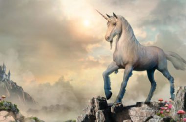 Volete sapere tutto sul mitico unicorno? Leggete qui…