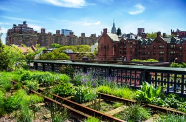 I migliori giardini urbani del mondo, veri simboli di rinascita e riqualificazione urbana