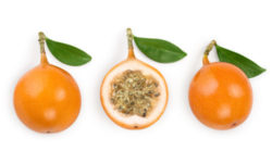 La granadilla, un frutto tropicale chiamato anche maracuja gialla da mangiare con il cucchiaino
