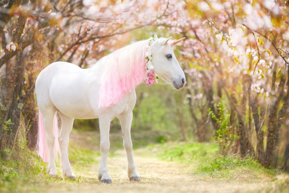 l unicorno � un animale