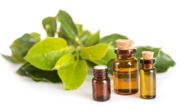 Gemmoderivati: cosa sono, a che cosa servono e dove trovarli