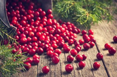 Cranberry, il mirtillo rosso d’America ideale per combattere la cistite