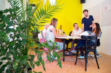 Piante da ufficio: come scegliere quella più adatta al proprio ambiente di lavoro