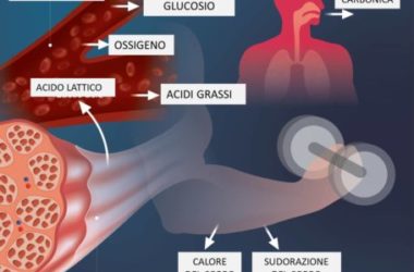 Dopo l’allenamento intenso, si accumula l’acido lattico, che provoca dolore muscolare: come prevenirlo?