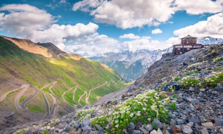 parco nazionale dello stelvio