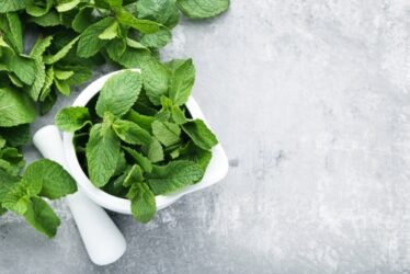 Menta: proprietà e ricette da provare in cucina