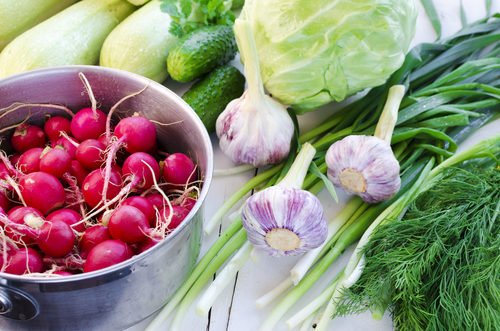 Tutto sulle verdure primaverili, un vero toccasana per la nostra salute