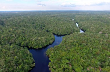 Amazzonia, polmone della Terra: se scompare non c’è più futuro