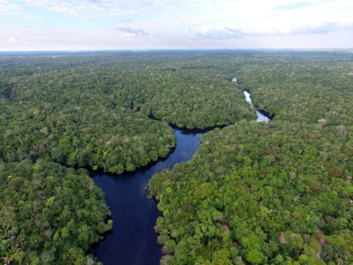 Amazzonia, polmone della Terra: se scompare non c’è più futuro