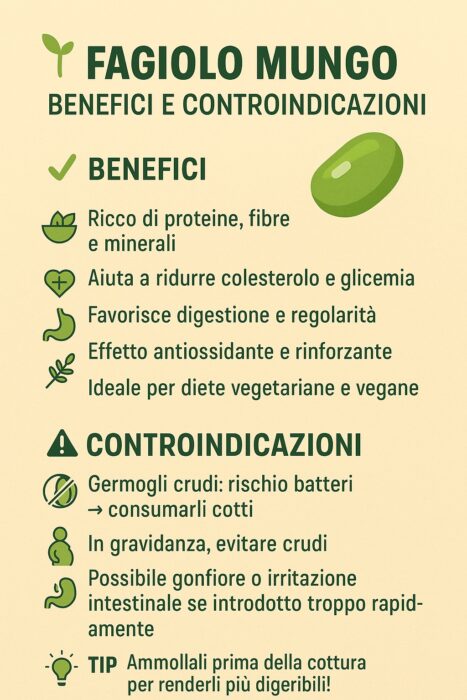 Fagiolo mungo: proprietà e controindicazioni