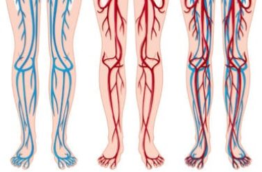 Come mantenere al meglio la circolazione del sangue grazie a rimedi naturali