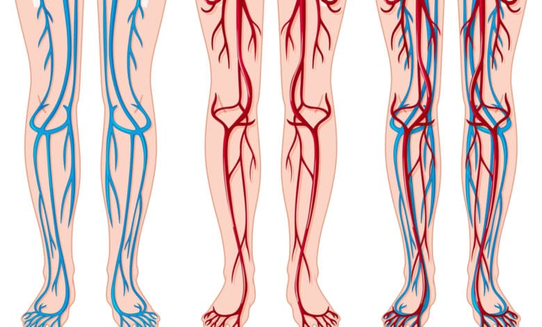 Migliorare la circolazione del sangue