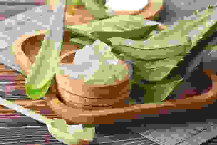 come usare l'aloe vera