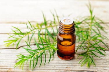 Tea tree oil per brufoli è un rimedio naturale perfetto per l’acne grazie alle sue proprietà antibatteriche