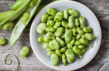 Le fave legume primaverile prezioso sulle nostre tavole