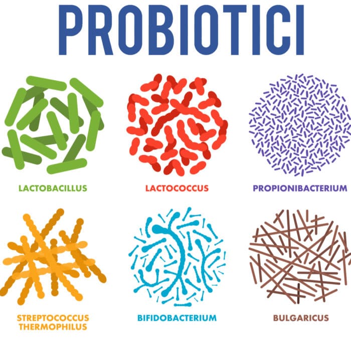 probiotici naturali