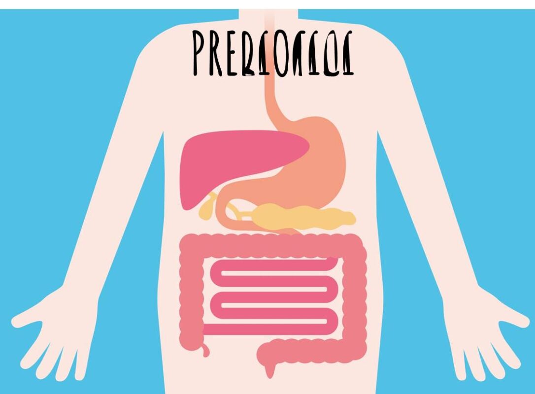 prebiotici