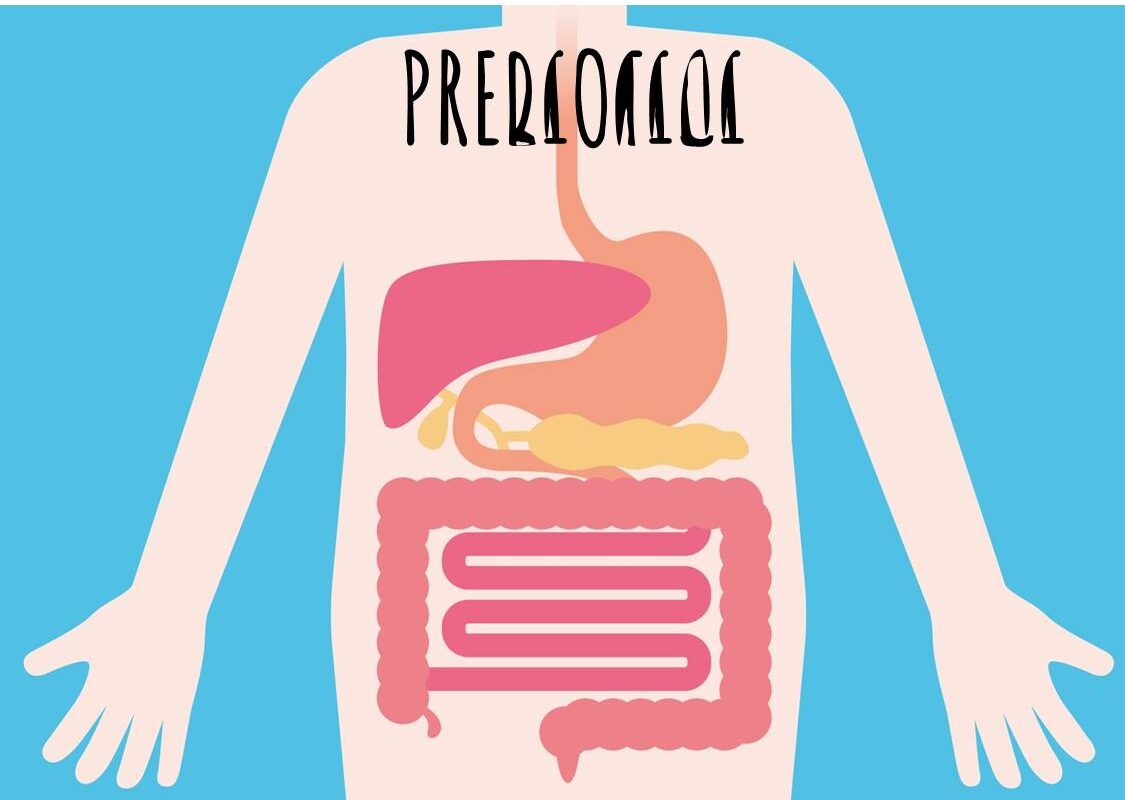 prebiotici