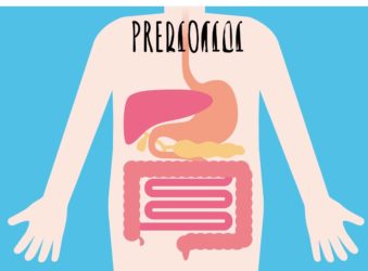 Cosa sono i prebiotici e perché sono utili al nostro intestino