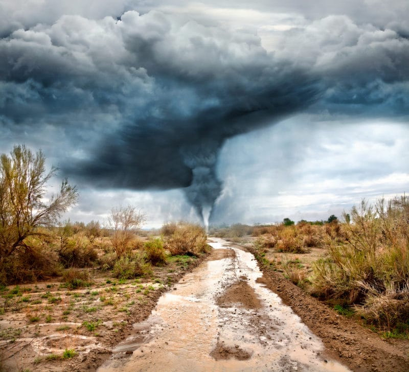 Cambiamenti climatici cosa sono e che problemi comportano Cambiamenti climatici cosa sono e che problemi comportano