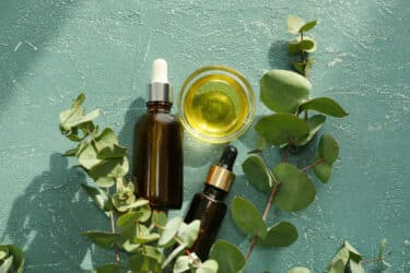 L’olio essenziale di eucalipto, un potente alleato per il benessere naturale