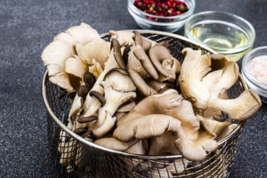I funghi Pleurotus: versatili e con diverse proprietà benefiche per l’organismo